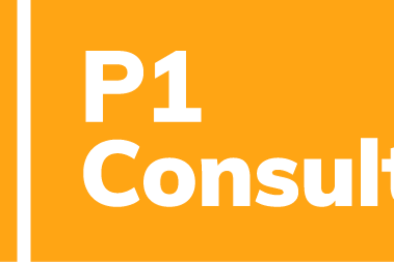 P1 Consulting GmbH